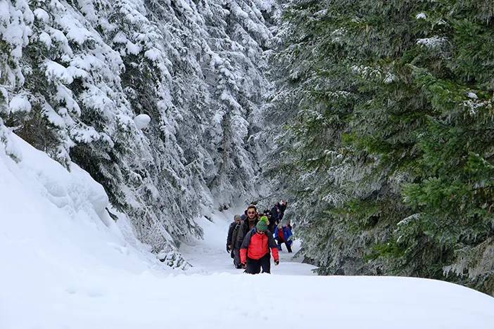 Gümüşhane'deki Tersun Dağı'nda doğa yürüyüşü 10
